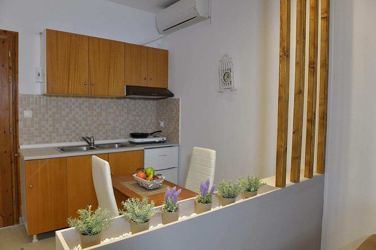 Elaionas Apt. 普萨克迪亚 外观 照片